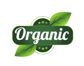 smart city technology,SCT Reference Videos